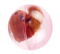 Genérico Juguete Móvil para Gatos - Bola Rodante de Peluche Realista de Ardilla Eléctrica Móvil,Juguetes Interactivos para Gatos - para Juego, Enriquecimiento, Ejercicio y del Aburrimiento de