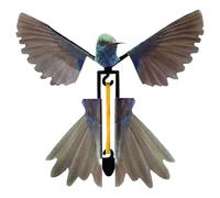 Genérico Juguete - Pájaro Mágico | Colibrí De 4,72 Pulgadas | Juguete Infantil ABS Realista para La Coordinación Y Crecimiento Saludable, Jugar En El Jardín, El Parque