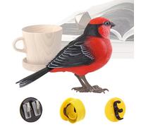 Genérico Juguete Pájaro Realista - Pájaro Interactivo Que Canta con Música - Animales Electrónicos Lindos para Hijo, Hija, Marido, Abuelo, Familia, Hijas, Niños, Mujeres, Adolescentes