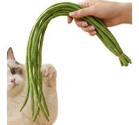 Genérico Juguetes De Ejercicio para Gatos,Juegos Realistas con Judías Y Esponja | Juguetes De Enriquecimiento para Gatos Interior - Estimulación Mental Y Juego Antiaburrimiento En