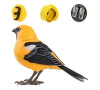 Genérico Juguetes De Pájaros para Niños | Figuras De Aves Juguetes | Figura Realista Animal para Hablar Favoritos Fiesta Escritorio Enriquecimiento Mascotas Guardería