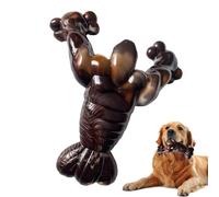 Generico Juguetes para dentición canina,Hueso interactivo seguro y divertido de masticar - Juguetes interactivos para perros - para adiestramiento juego reducción aburrimiento jardín casa playa