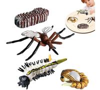 Genérico Juguetes para Insectos: Ciclo de Vida de la | Ciclo Educativo de Crecimiento de Insectos: Modelos de Vida de simulados, Que Incluyen Polilla Lunar, Tortuga, Hormiga obrera,