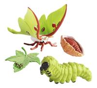 Genérico Juguetes para Insectos - Figuras de Insectos de PP, Kit de Ciclo de Vida de, Figuras Transparentes de Ciclo de Vida para niños, Polilla, Tortuga, Hormiga obrera |