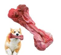 Genérico Juguetes para Morder para Perros - Goma con Forma De Hueso Antimordidas - Juguete Cepillo para Perros,para Entrenamiento Juego En Hogar Masticacion Relajacion Interior Y Exterior