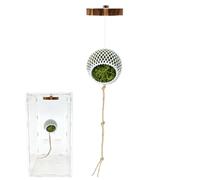 Generico Jumping Spider Accessories - Habitat Supplies Climbing | Spider Enclosure Decor | Imitation Vine Wood Rope, Shelter House, for Terrarium Reptiles Bearded Dragons Snakes Turtles