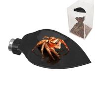 Genérico Jumping Spider Habitat Accessories - Magnetic Fake Leaf