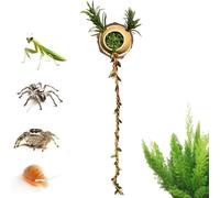 Generico Jumping Spider Shelter, Magnetic Decorative Habitat Accessory With Climbing Rope, Enclosure And Resting Shelter For Small Reptiles Cage Playing Exploration Resting Sleeping And Habitat Use
