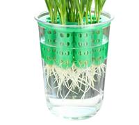 Genérico Kit De Cultivo De Cebollas Verdes: De Propagación Hidropónica Transparente, Estación De Plántulas De Cebolleta para Alféizares De Ventanas | Interior Sostenible, Macetero De Cultivo De AGU
