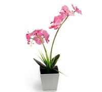 Genérico Lámpara LED de Orquídea Artificial en Maceta Rosa 9 Luces Led, Luz Decorativa para Hogar, Luz Nocturna Romántica para Dormitorio, Bodas y Fiestas, sin Cable, Pilas
