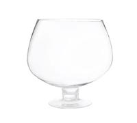 Genérico Large Beer Mug - Classic Glass Beer Stein, Clear Drinking Cup