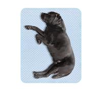 Genérico Large Dog Cooling Mat - Dog Cooling Mat | Pet Coôling Mats for Dogs | Waterproof Easy Washable Portable Bed Accessories Blanket for Puppies Kittens Furry Friends Indoor