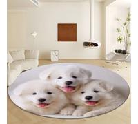 Genérico Lavable Alfombra Blanco Redondas Diámetro de 80 cm, Alfombra Antideslizante Suave - Tapete Pelo Corto Imprimir Fotografía HD Cachorro Samoyedo para Salón Dormitorio Hogar Decoración