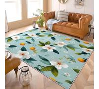 Genérico Lavable Alfombras Suave Pelo Corto 80x150 cm Campo Margaritas CíTricos Flores. Antideslizante Moderna Decoración del hogar Alfombra Azul para Salón Dormitorio Comedor Perro, Entrada, Puerta