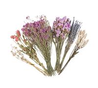 Genérico Lecho Natural para Hámster - Flores Secas Hierbas, Decoración Jaula Desodorante, Accesorios Paisajismo | Flores De Primavera, Mansión De para Chinchilla