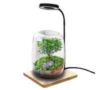 Genérico LED Grow Light - USB Powered Full Spectrum Aquarium Lamp, Terrarium Plant Growing Light, Indoor Desktop LED Lamp For Home Study Office Desk Display, Seedling Propagation And Plant Care