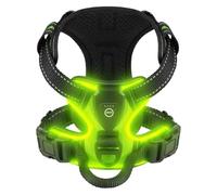 Genérico Led Luminous Dog Harness No Pull Adjustable Rechargeable Pet Vest Small Medium Large Dogs Outdoor Walking Supplies(Green,S)