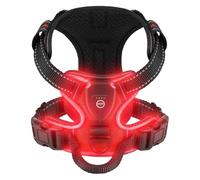 Genérico Led Luminous Dog Harness No Pull Adjustable Rechargeable Pet Vest Small Medium Large Dogs Outdoor Walking Supplies(Red,XL)