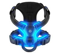 Genérico Led Luminous Dog Harness No Pull Adjustable Rechargeable Pet Vest Small Medium Large Dogs Outdoor Walking Supplies(Sky Blue,M)