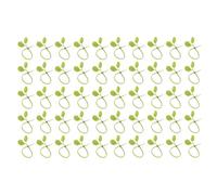 Generico Legami para - Clip de 30 x 1 x 1 cm para enredaderas, soporte para hojas reutilizables, pinzas, de tallo trepador ideal para fijar las al enrejado clip