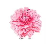 Genérico L'Erbolario, Flor Perfumada Multiusos Matices de Dalia, Pack 2