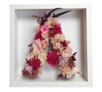 Genérico: Letra de Flores Naturales Preservadas en Tonos Rosado. Marco Blanco de Madera. Todo ABCedario A-Z. (Letra E, 18cm, Marco 27x27x6cm)