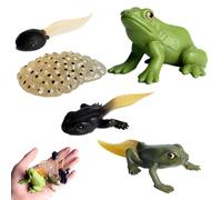 Genérico Life Cycle Figurines - Kids Figure Animal Match Set - Moth, Butterfly, Turtle, Workers Ant, Frog PP Figures Toy Kit For Improving Children's Cognitive Ability