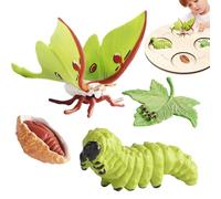 Genérico Life Cycle Kit Toy,Tasteless Life Cycle Figurines Set | Moth, Butterfly, Turtle, Ant, Frog PP Figures Toy Kit For Improving Children's Cognitive Ability