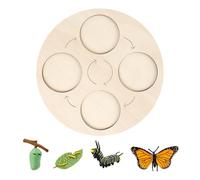 Genérico Life Cycle of a Butterfly | Life Cycle Puzzle for Kids - Wooden Learning Toy with Bright Colors for Education Learning Science Exploration