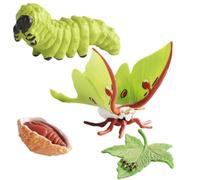 Genérico Life Cycle Toys - Realistic Animal Figurines For Kids