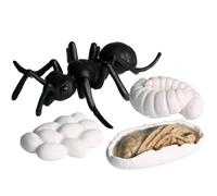 Genérico Life Cycle Toys - Realistic Animal Figurines For Kids