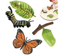 Genérico Life Cycle Toys | Tasteless Life Cycle Figurines Set - Moth, Butterfly, Turtle, Ant, Frog PP Figures Toys Kit For Improving Children's Cognitive Ability