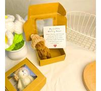 Genérico Little Bear in Box, Handmade Mini Plush Bear in Box with Mini Plush Bear with Inspirational Card, Sympathy Gift for Christmas and Valentine's Day & Mother's Day (Coffee)