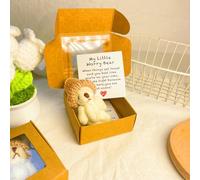 Genérico Little Bear in Box, Handmade Mini Plush Teddy Bear in Box, Handmade Mini Plush with Inspirational Card and, Emotional Uplifting Support Pocket Hug Animal Positive Gifts (White)