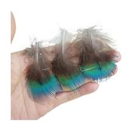 Genérico Lote de 50 plumas de pavo real naturales for el cuello, de 4 a 6 cm, for proyectos de graduación, manualidades con plumas pequeñas, accesorios de ropa.