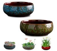 Genérico Lotus Bowl Planter, Ceramic Lotus Flower Bowl, Lotus Bowls for Planting in Water Indoors, Applicable to Lotus Flower Seeds,Blue Lotus (2pcsA)