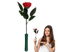 Genérico Luz Artificial - Decoración Portátil de 33 cm, LED ABS, Acento Floral Romántico | Elegante ramo luminoso, ideal para la decoración de la boda, regalo del día de la madre, ambiente fam