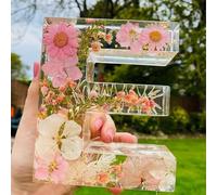 Genérico Luz Nocturna De Resina Floral, Letras De Resina De Flores Prensadas Con Luz LED, Lámpara De Noche Floral Creativa, Luz Nocturna De Letras De Flores Secas, Regalos Para El Día De La Madre