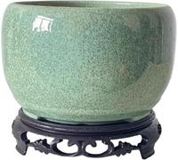 Genérico Maceta de cerámica Moderna Decorativa for Plantas de Interior de orquídea, Cactus y Aloe Vera