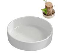 Genérico Maceta de Plantas: Maceta Decorativa, hidropónica pequeña, macetas Redondas de Flores pequeñas | Smalls Plantas plantador platero para baño de baño Sala de Estar Dormitorio de Dormitorio de