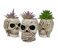 Genérico Maceta ES - 3 macetas de calavera de resina | Creativo Maceta de caramelos contenedor de flores divertido ur cuenco para decoración gótica casa decoración de mesa
