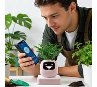 Genérico Maceta Inteligente,Jardineras con IA Inteligente para Mascotas Y Múltiples Expresiones Maceta para Suculentas - para Interior Hogar Oficina Sala Dormitorio Balcón Patio Cumpleaños