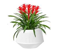 Genérico Macetas de Orquídeas | Macetas para Orquídeas con Drenaje,De Doble Capa Transpirable con Control De Raíces para Hidroponía, Riego, Humedad, Musgo Sphagnum Y Violeta