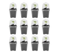 Genérico Macetas de Vivero para Plantas - 12 Piezas con Cúpula de Humedad y Semillero Transparente,Macetas de Cultivo con Drenaje | para Orquídeas, Tomates, Vegetales, Esquejes, Interior,