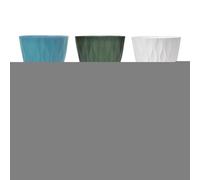 Genérico Macetas para Interiores | Lote de 6 Macetas para Orquídeas y Suculentas | Maceteros de Interior - para Invernadero, Oficina, Cocina, balcón, Patio, baño en días Festivos