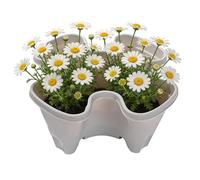 Genérico Macetero Apilable | Antideslizante Apilable con Drenaje Seguro - Torre de Macetas Apilables para Fresas - para Patio Balcón Terraza Hogar Apartamento