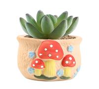 Genérico Macetero De Flores - De Cerámica con Forma De Hongo, Recipiente Esmaltado Colorido Pintado A Mano con Orificio De Drenaje, Macetero Decorativo Compacto De 148 G para Plantas Pequeñas | T