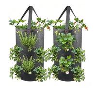 Genérico Macetero Invertido para Fresas - 2 Piezas Vertical 11,4 litros - Bolsas Cultivo Tomate Gran Capacidad,Jardín Patio Balcón Plantas Exterior Zanahorias y Frambuesas