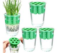 Genérico Macetero para Cebollino de Interior,Hidropónico para Cebolletas, Propagador Transparente,de Cultivo para Cebollino | para Huerto en Ventana, Hogar, Interior o Rincón de