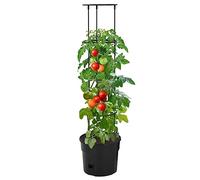 Genérico Macetero para Tomates Polipropileno Antracita Ø29,5x115 cm,Casa y jardín,Jardín,Jardinería,Maceteros y jardineras-152209
